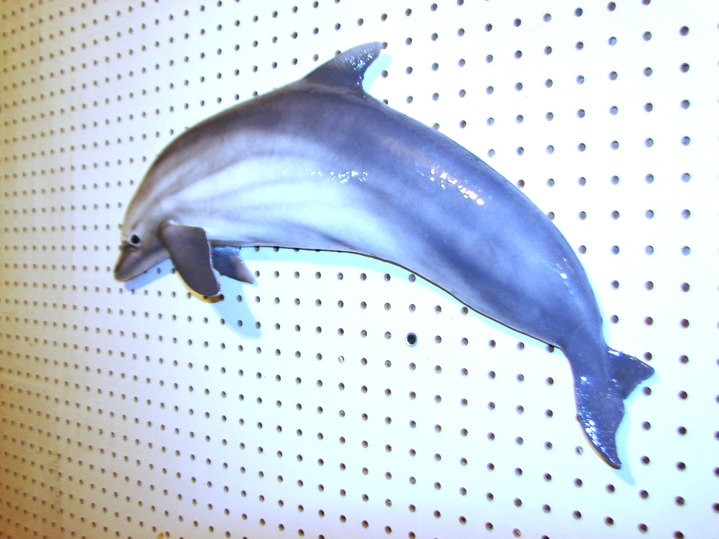 24" Dolphin FREE SHIPPING