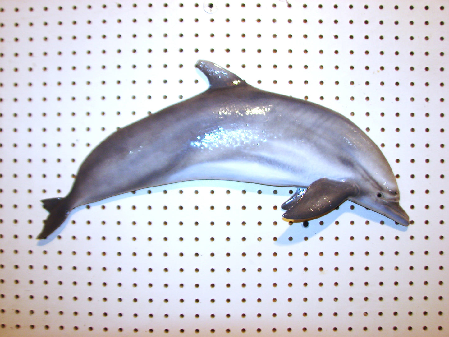24" Dolphin FREE SHIPPING