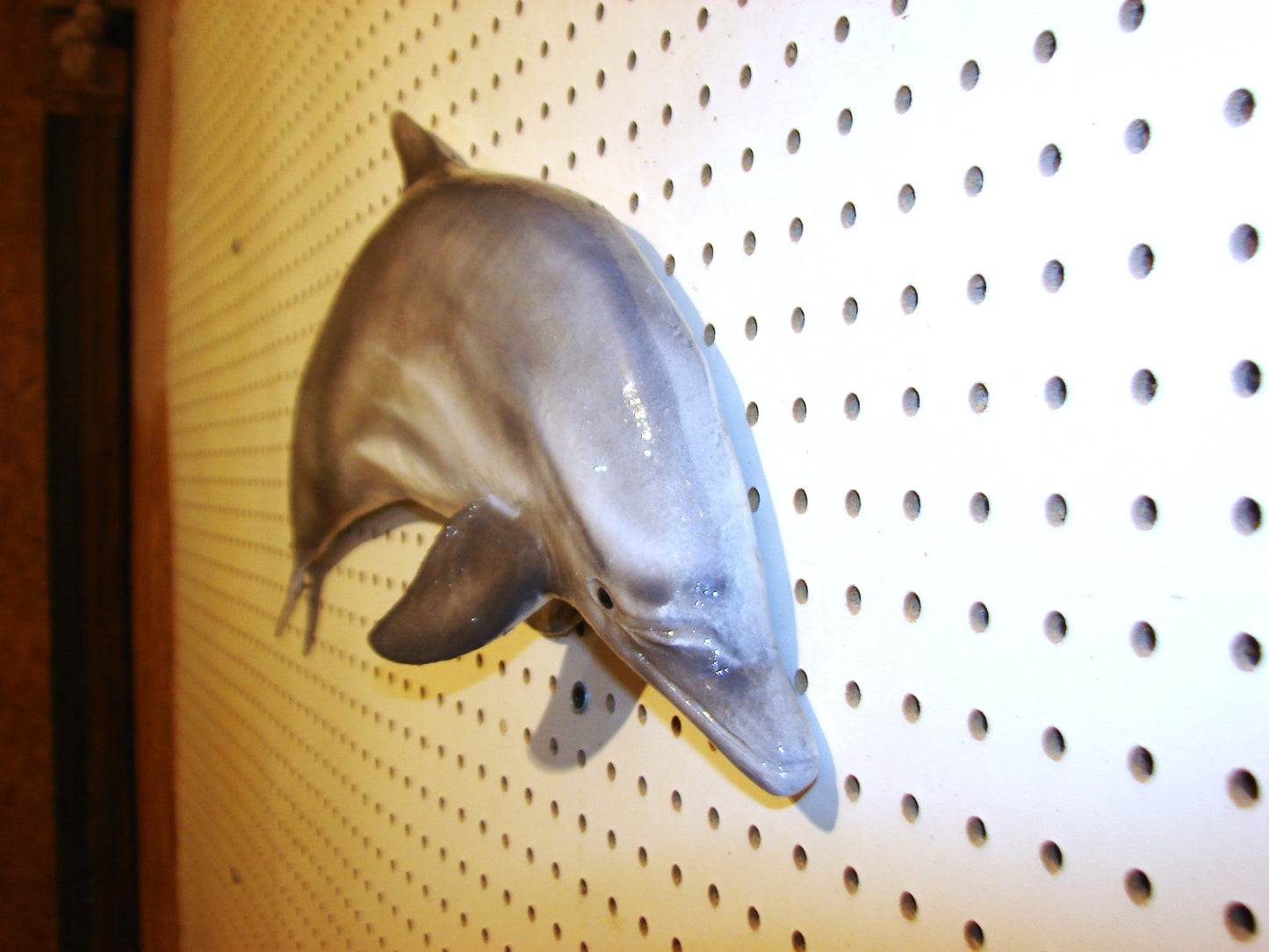 24" Dolphin FREE SHIPPING