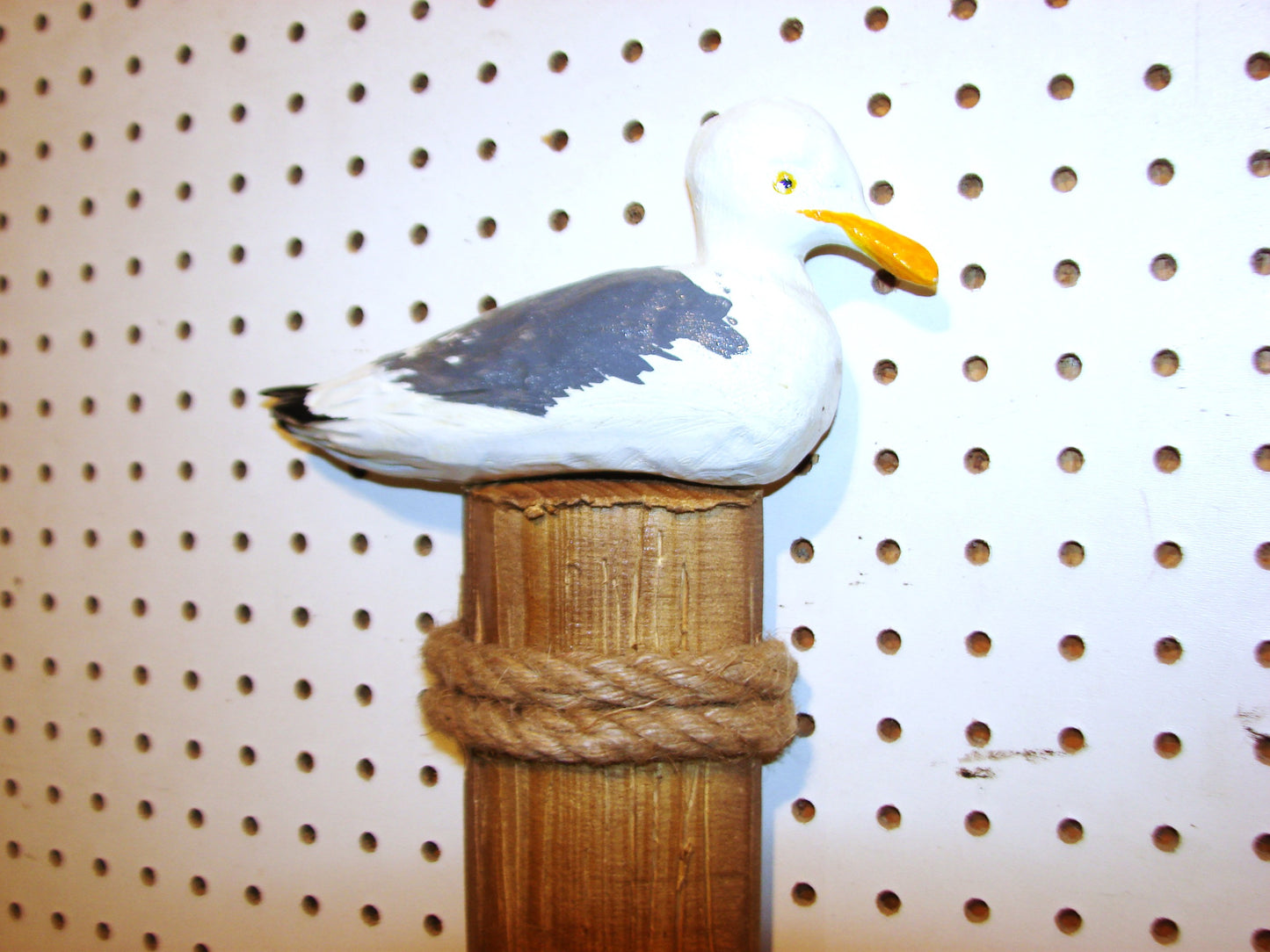 Sea Gull Wall Art FREE SHIPPING