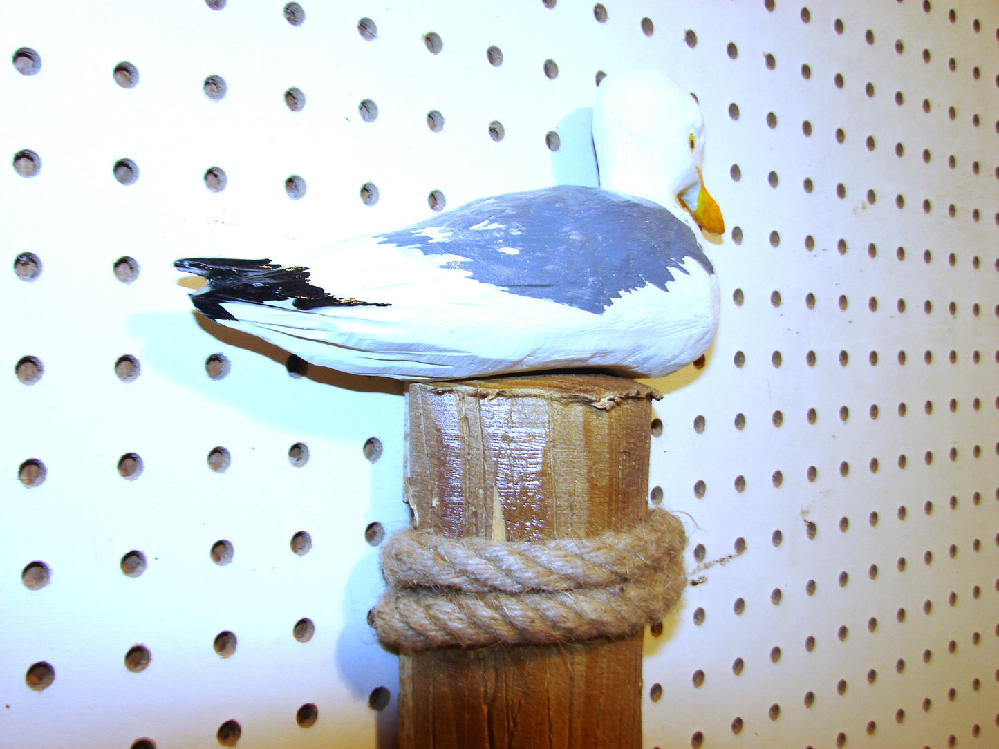 Sea Gull Wall Art FREE SHIPPING