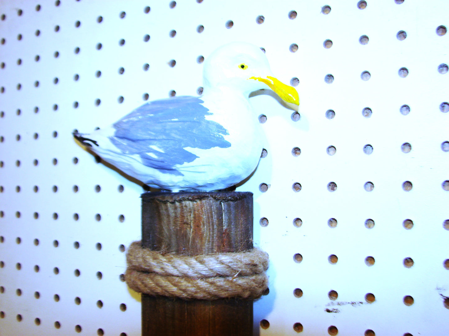Sea Gull Wall Art FREE SHIPPING
