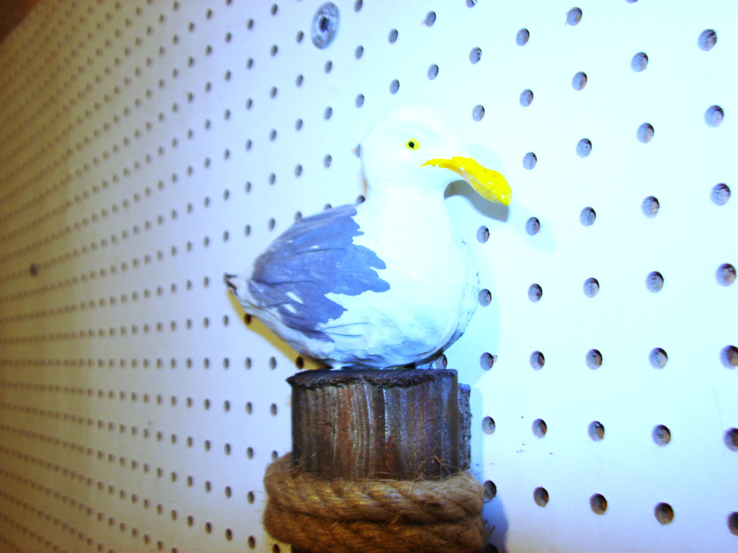 Sea Gull Wall Art FREE SHIPPING