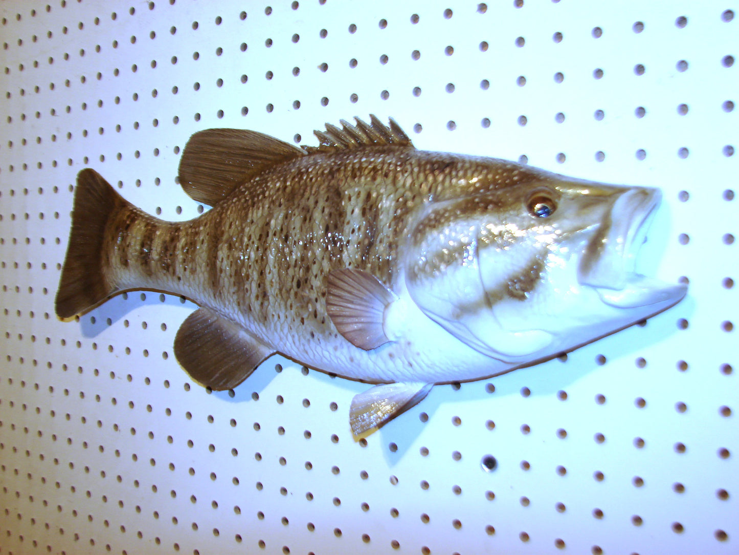 21" Smallmouth Bass FREE SHIPPING
