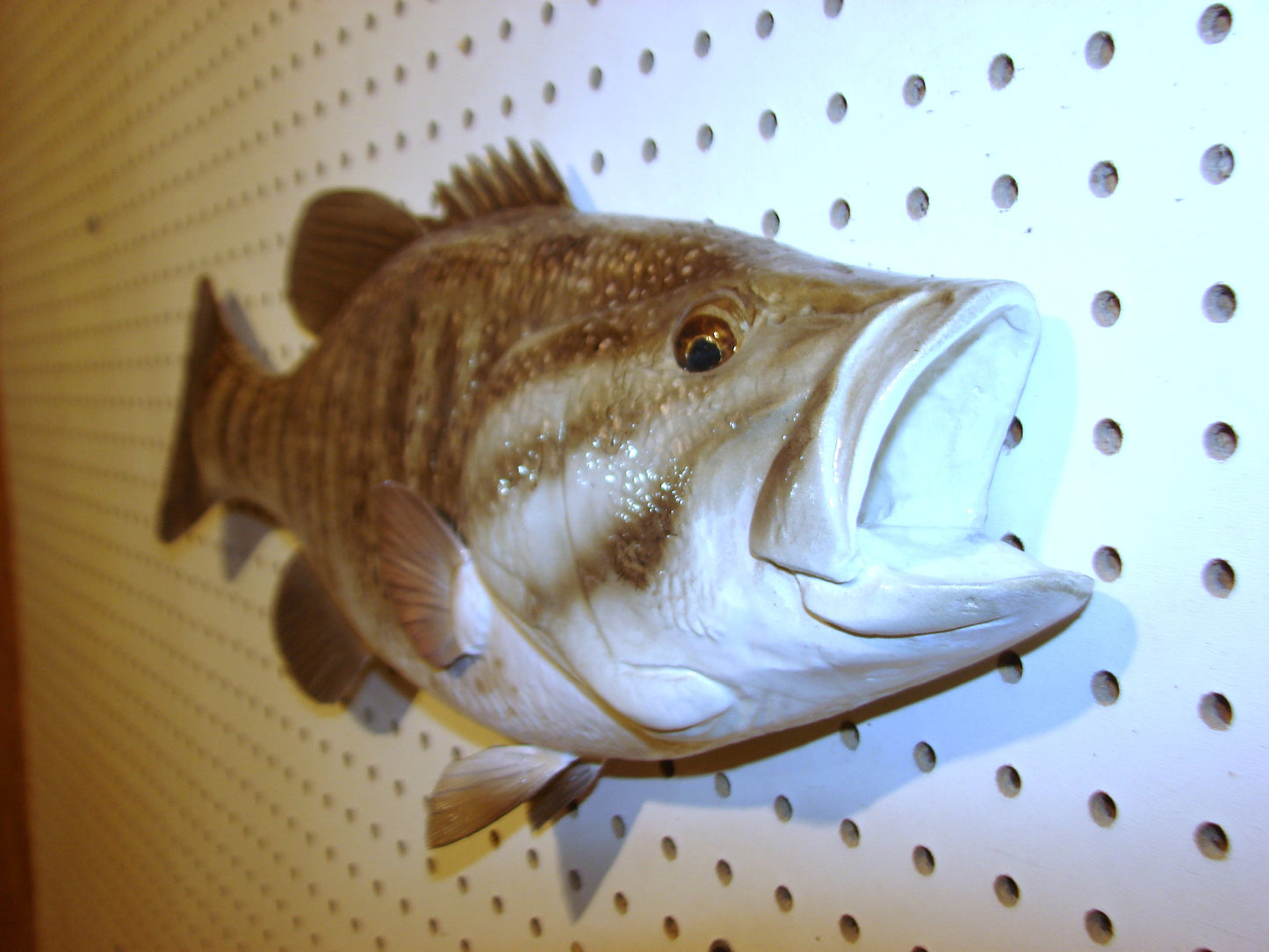 21" Smallmouth Bass FREE SHIPPING