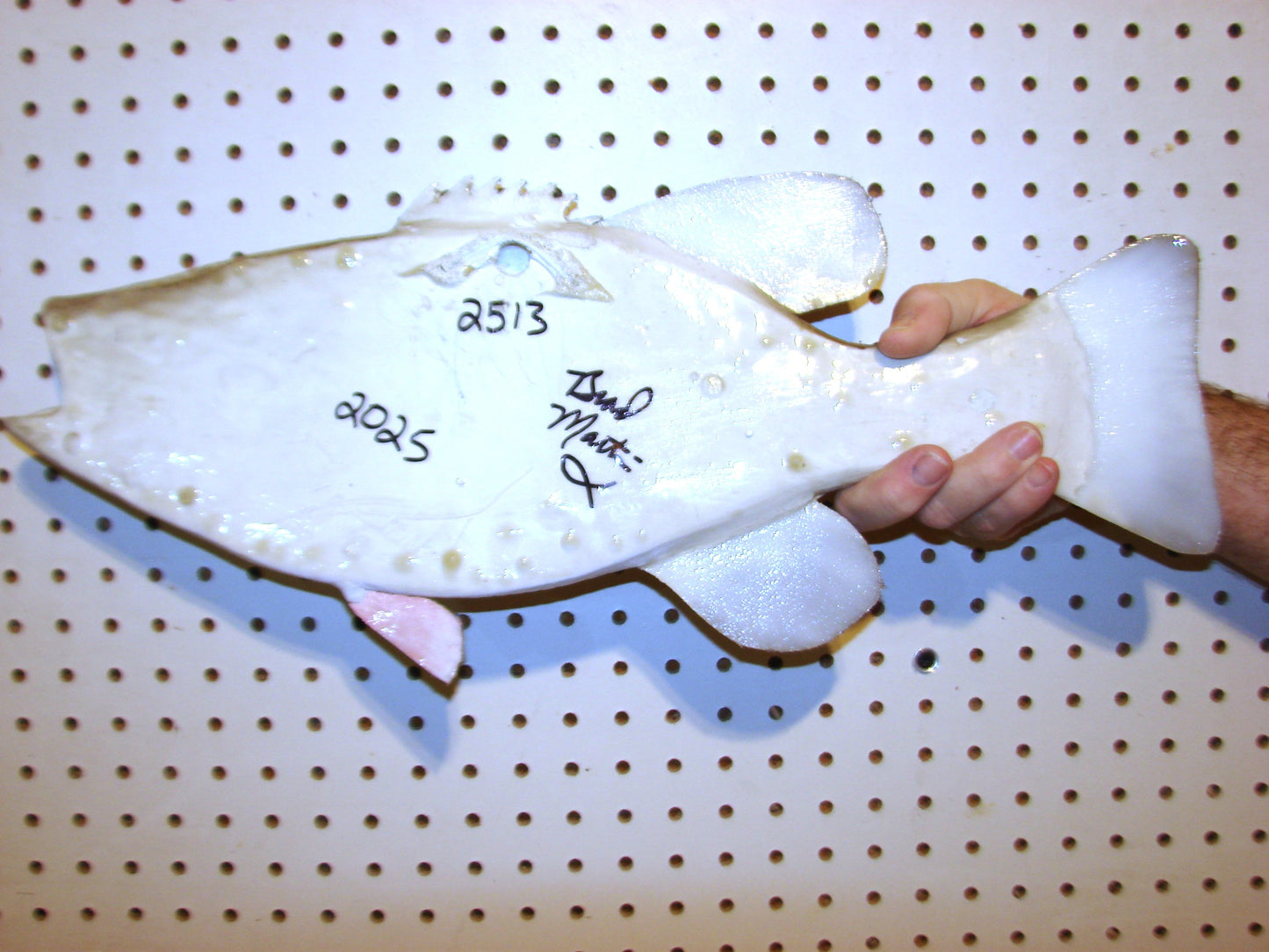 21" Smallmouth Bass FREE SHIPPING
