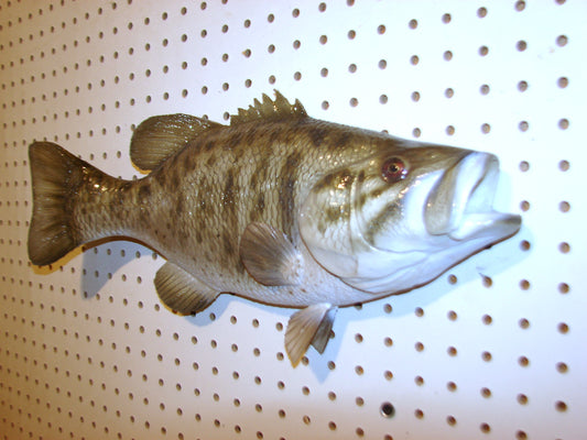 18" Smallmouth Bass FREE SHIPPING