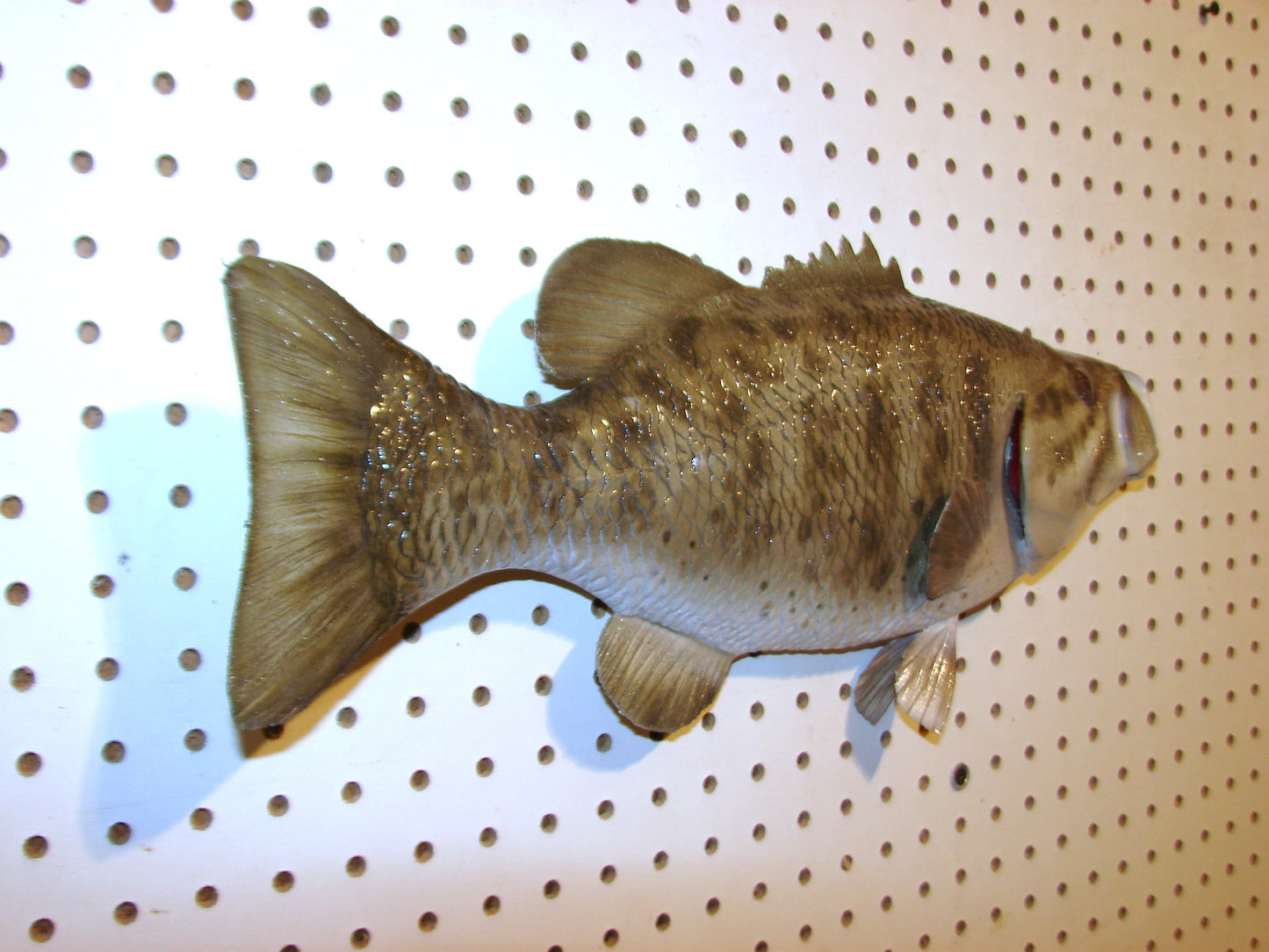 18" Smallmouth Bass FREE SHIPPING