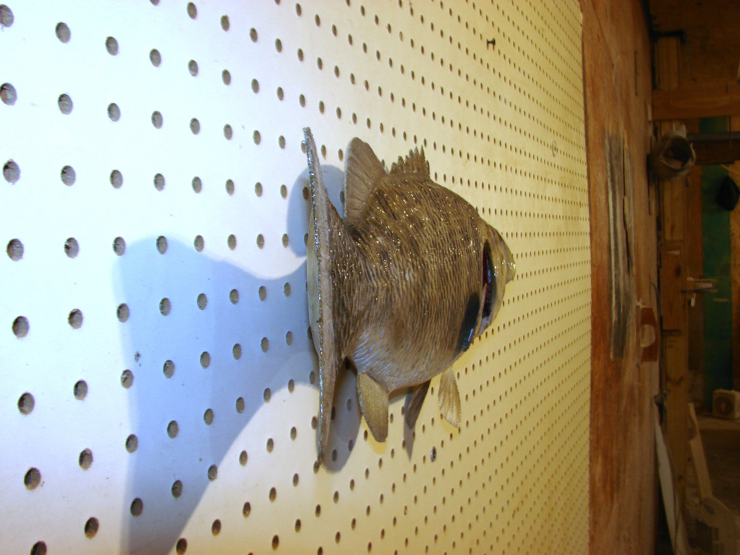 18" Smallmouth Bass FREE SHIPPING