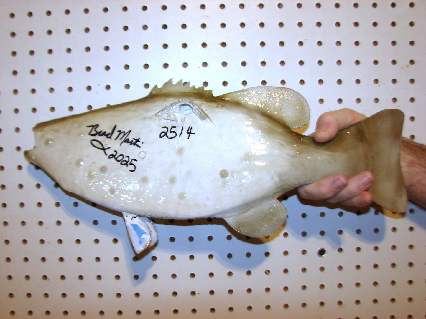 18" Smallmouth Bass FREE SHIPPING