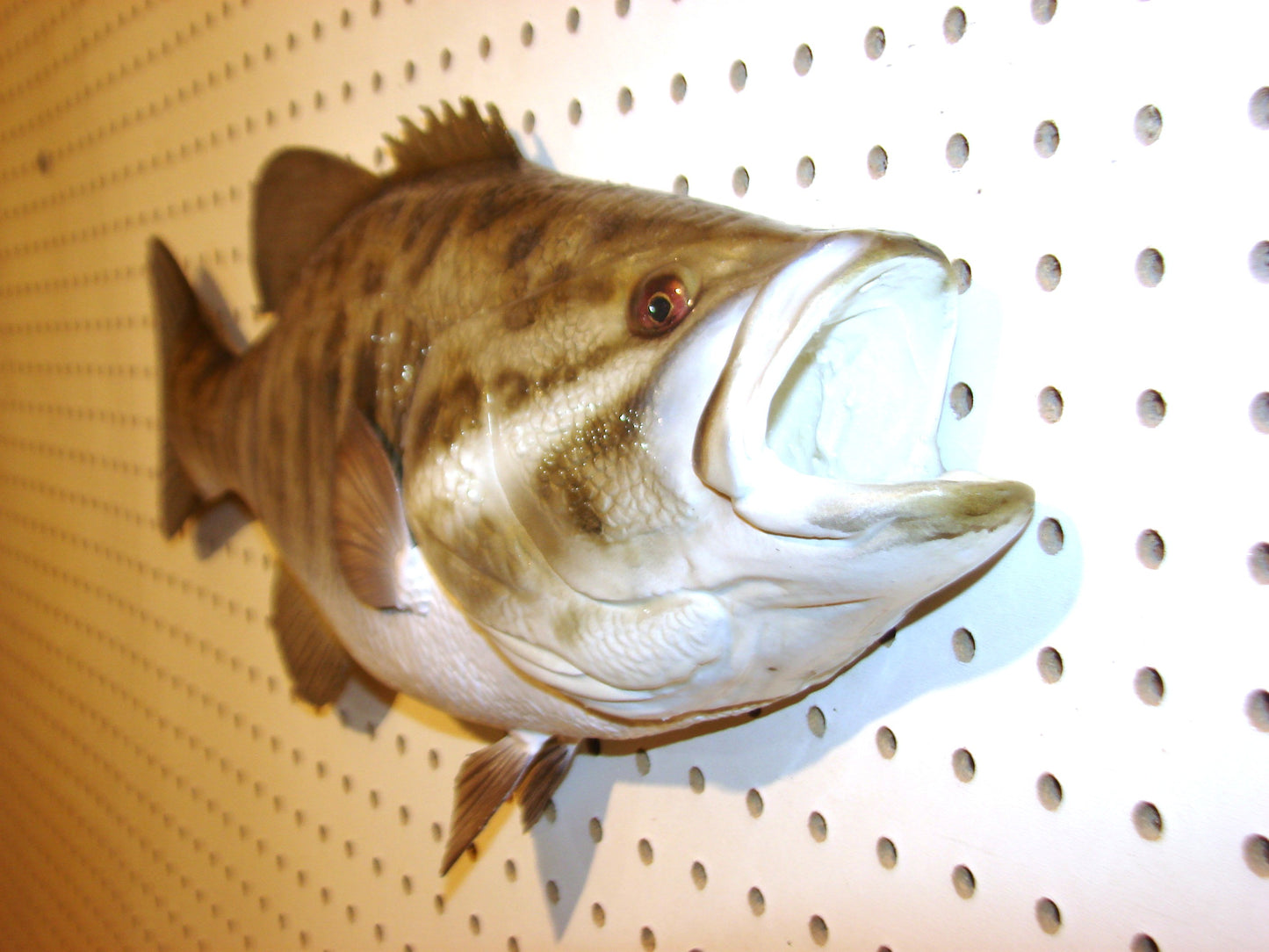 21" Smallmouth Bass FREE SHIPPING
