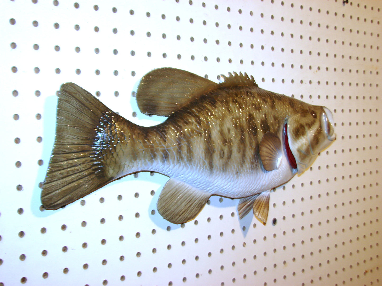 21" Smallmouth Bass FREE SHIPPING