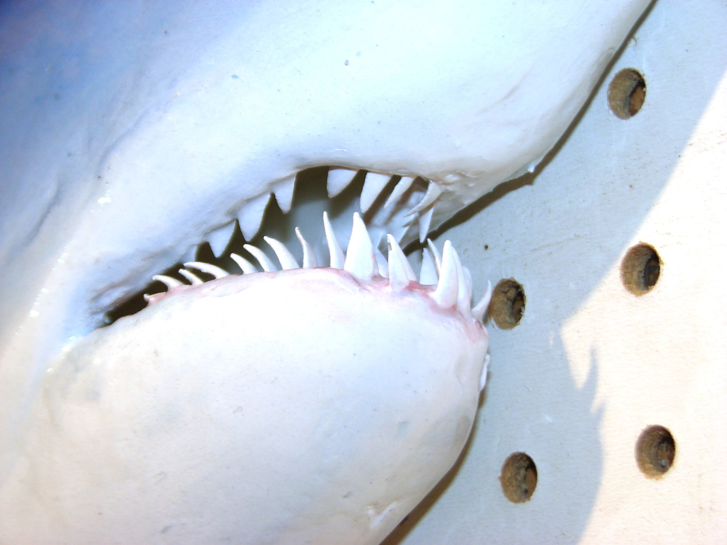 48" Mako Shark FREE SHIPPING