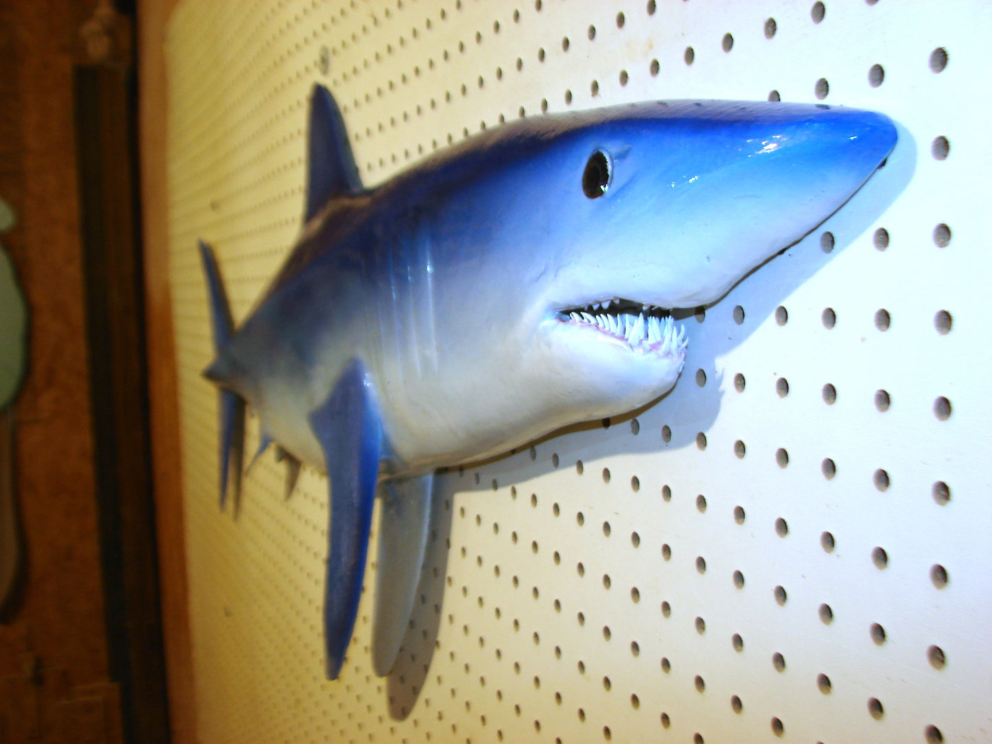 48" Mako Shark FREE SHIPPING