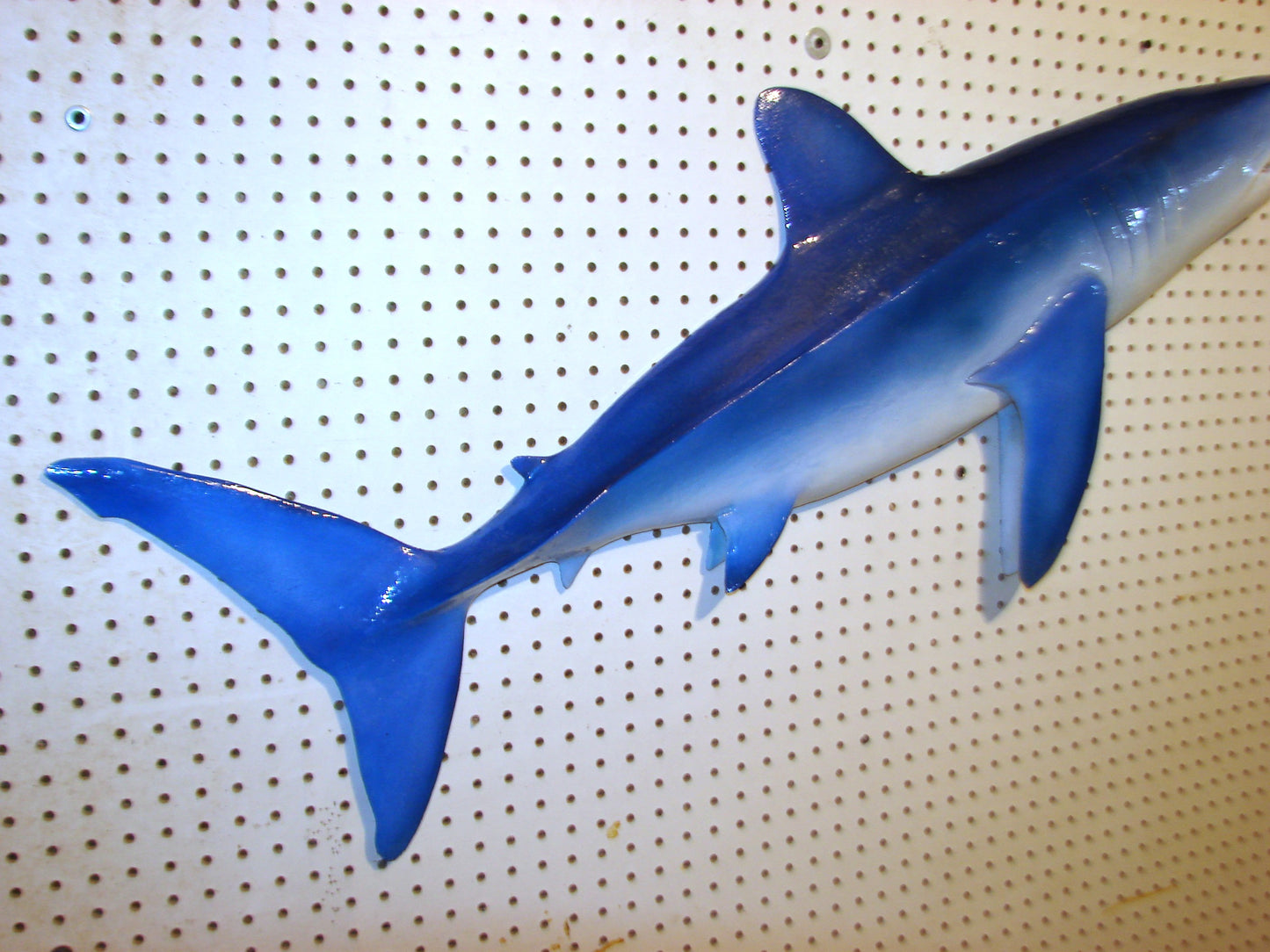 48" Mako Shark FREE SHIPPING
