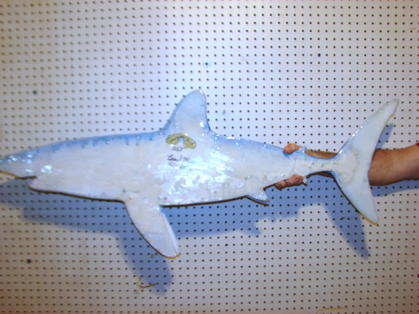 48" Mako Shark FREE SHIPPING