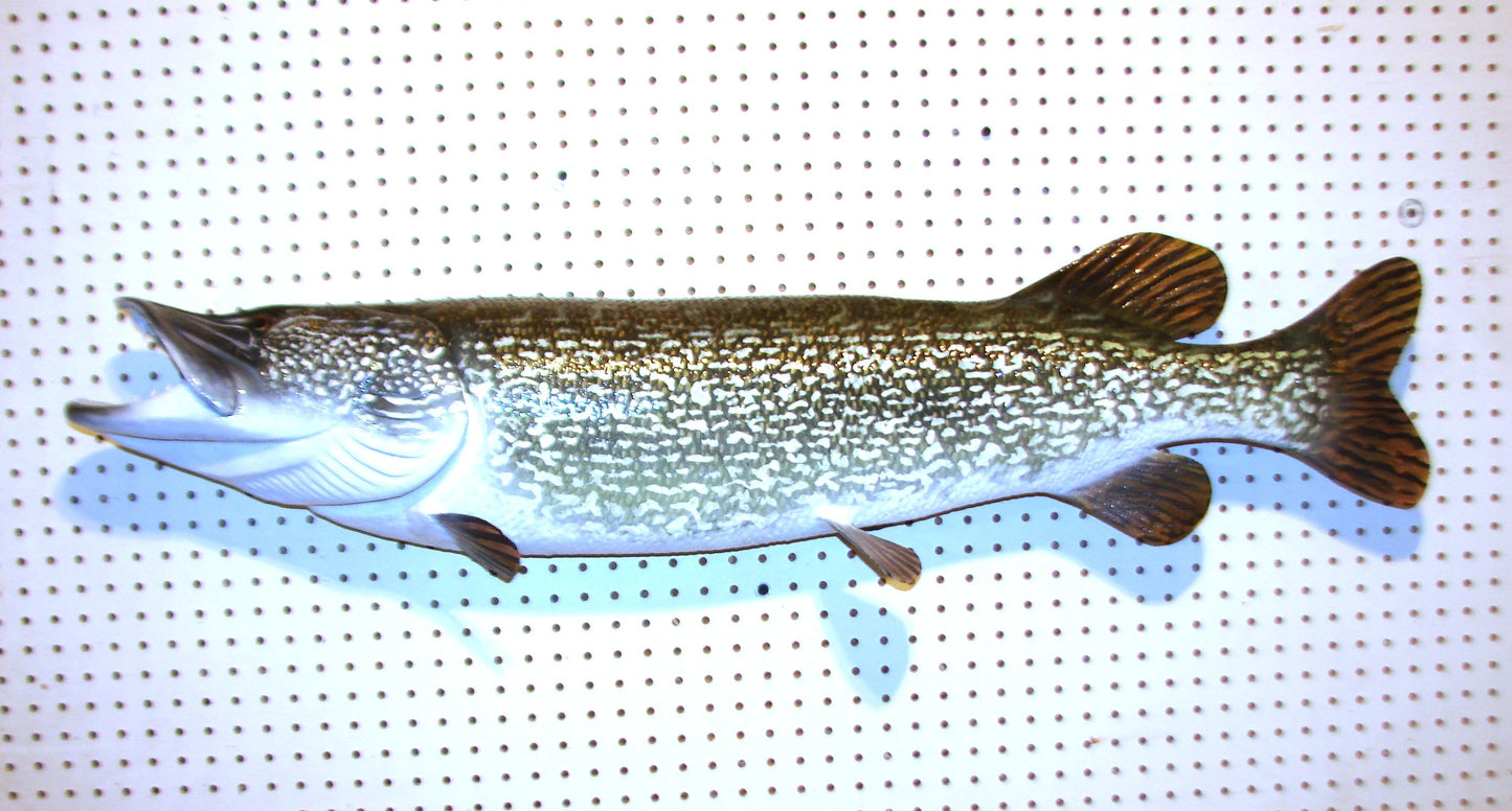 44" Northern Pike FREE SHIPPING