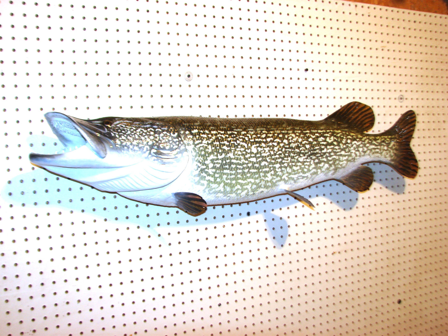 44" Northern Pike FREE SHIPPING