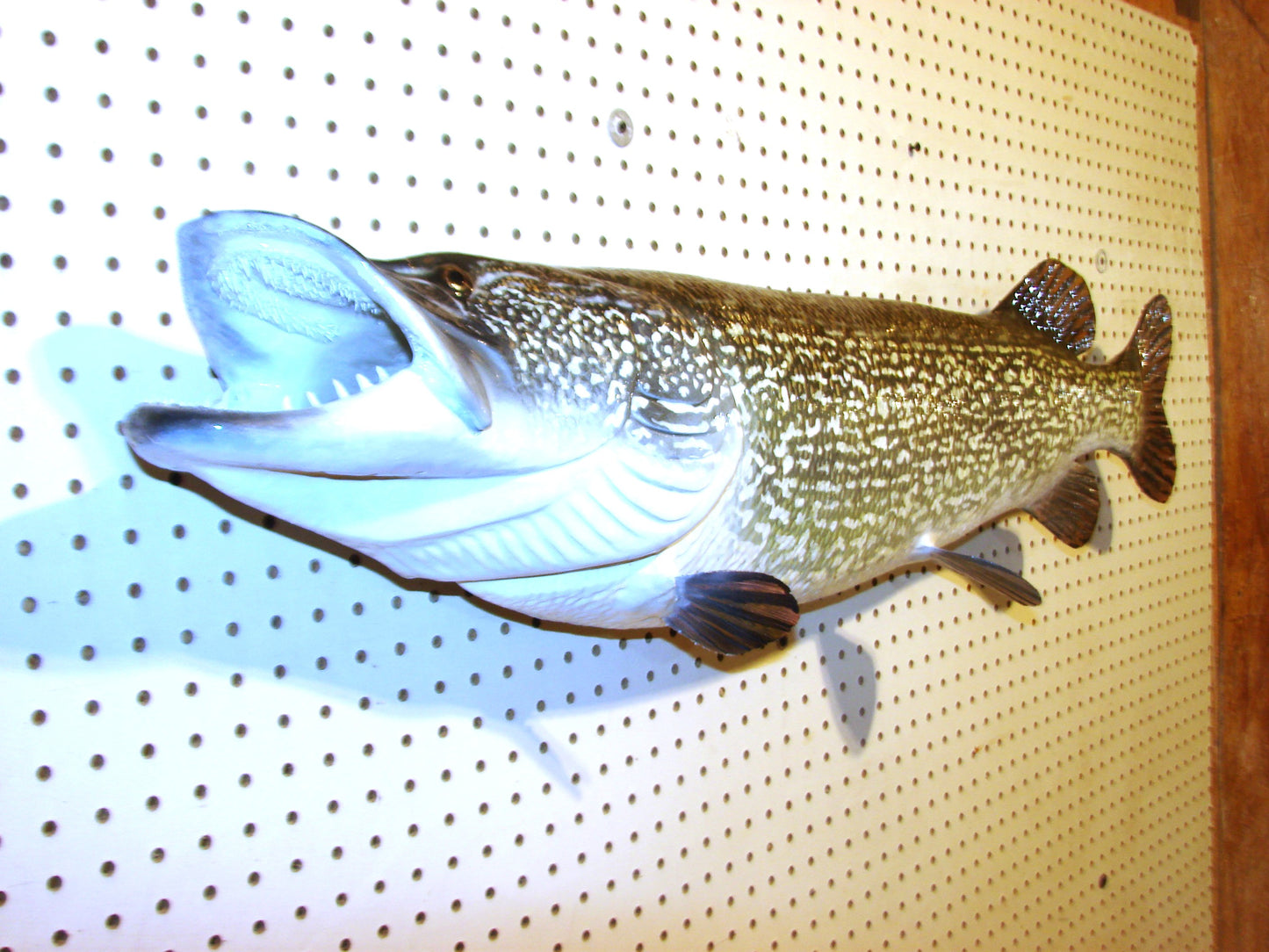 44" Northern Pike FREE SHIPPING