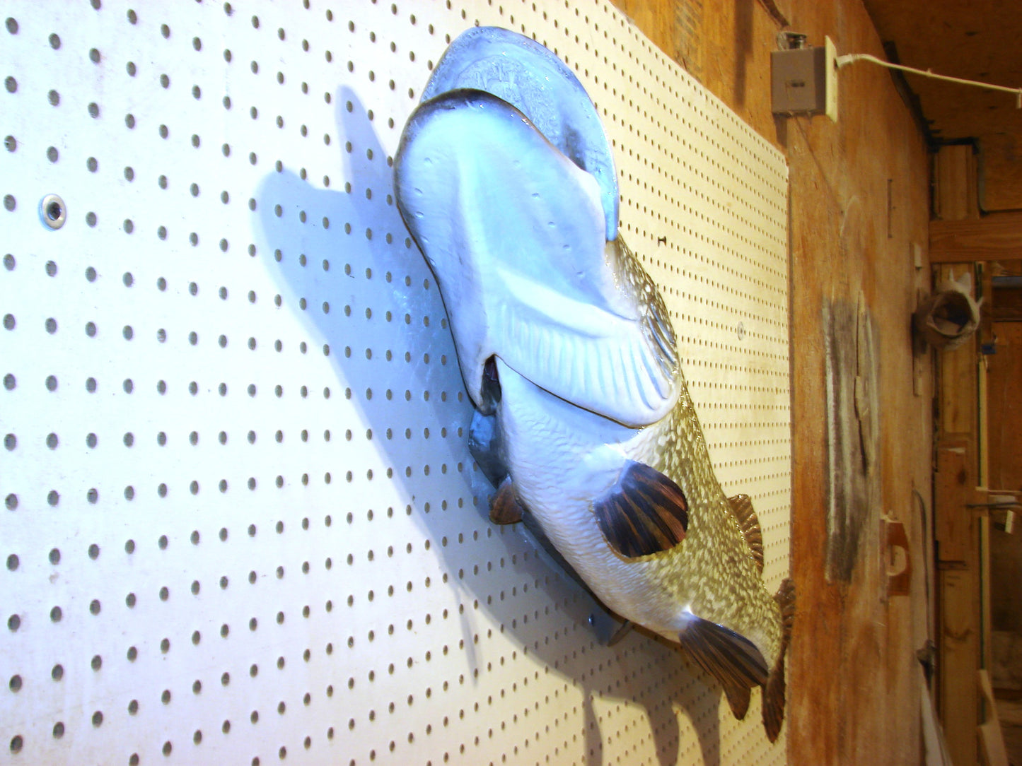 44" Northern Pike FREE SHIPPING