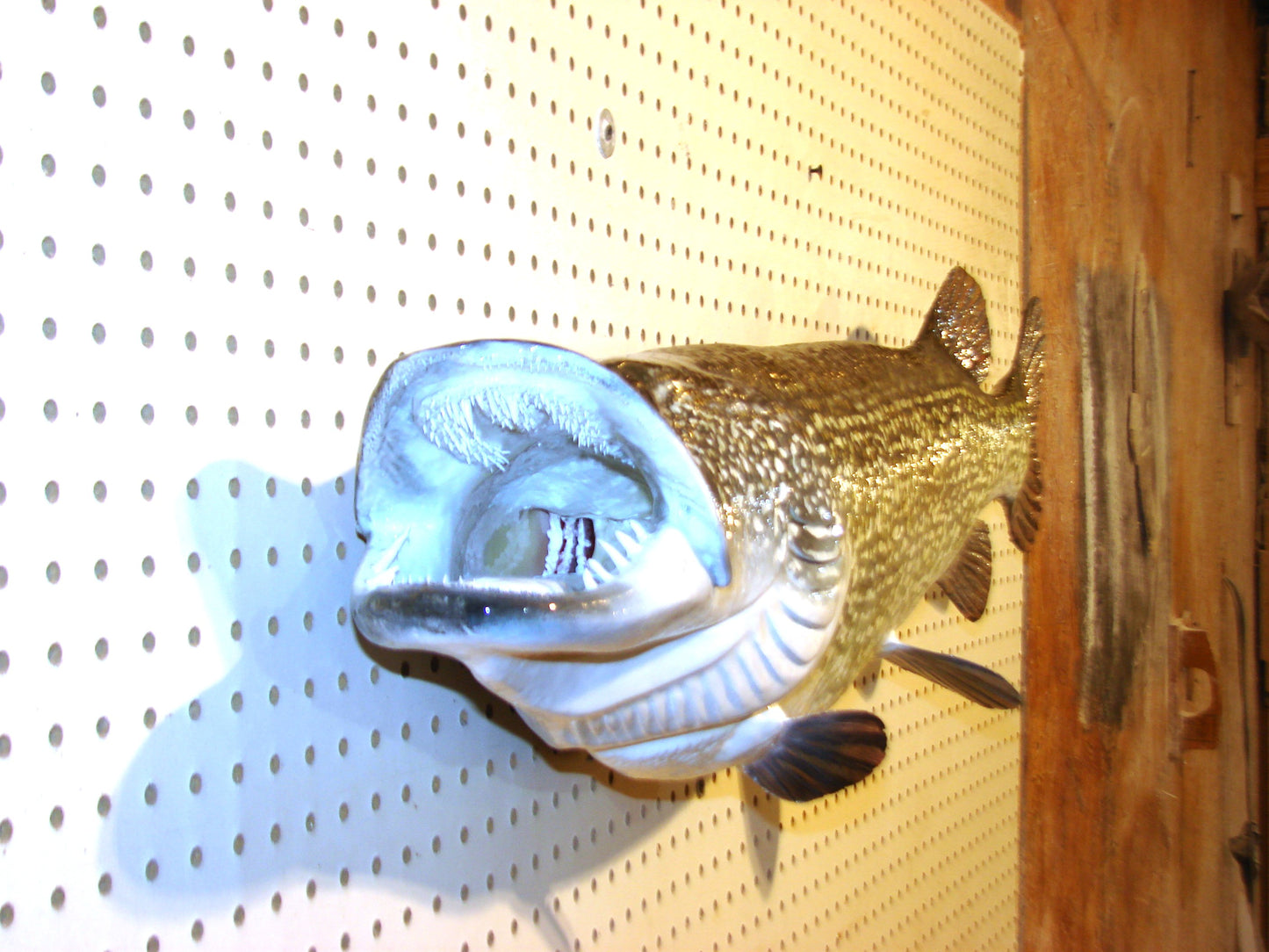 44" Northern Pike FREE SHIPPING