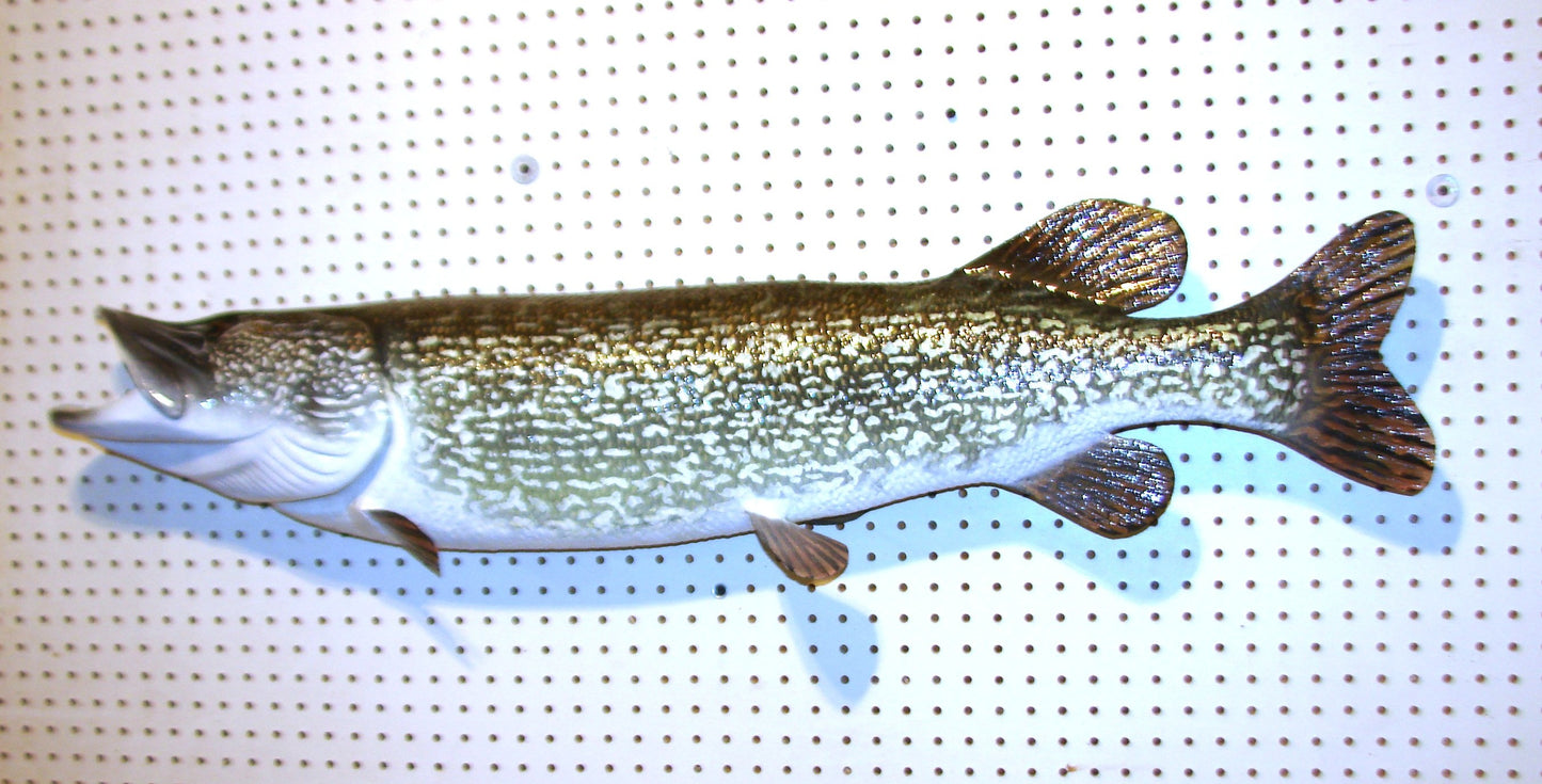 44" Northern Pike FREE SHIPPING