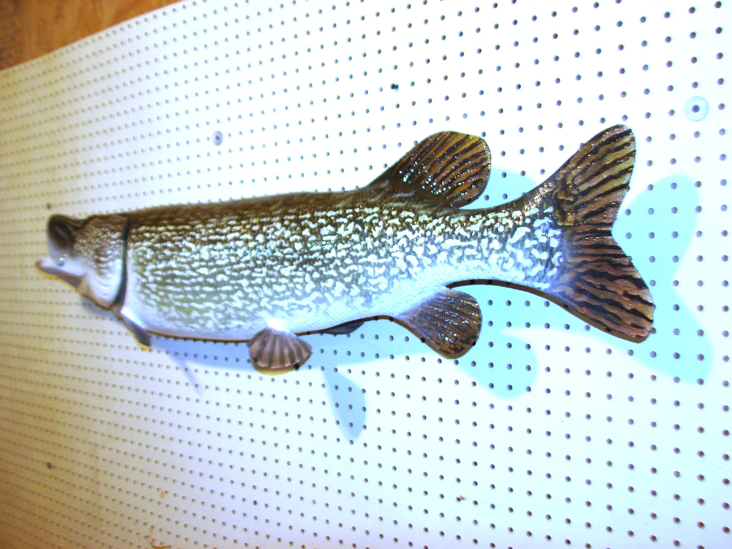 44" Northern Pike FREE SHIPPING