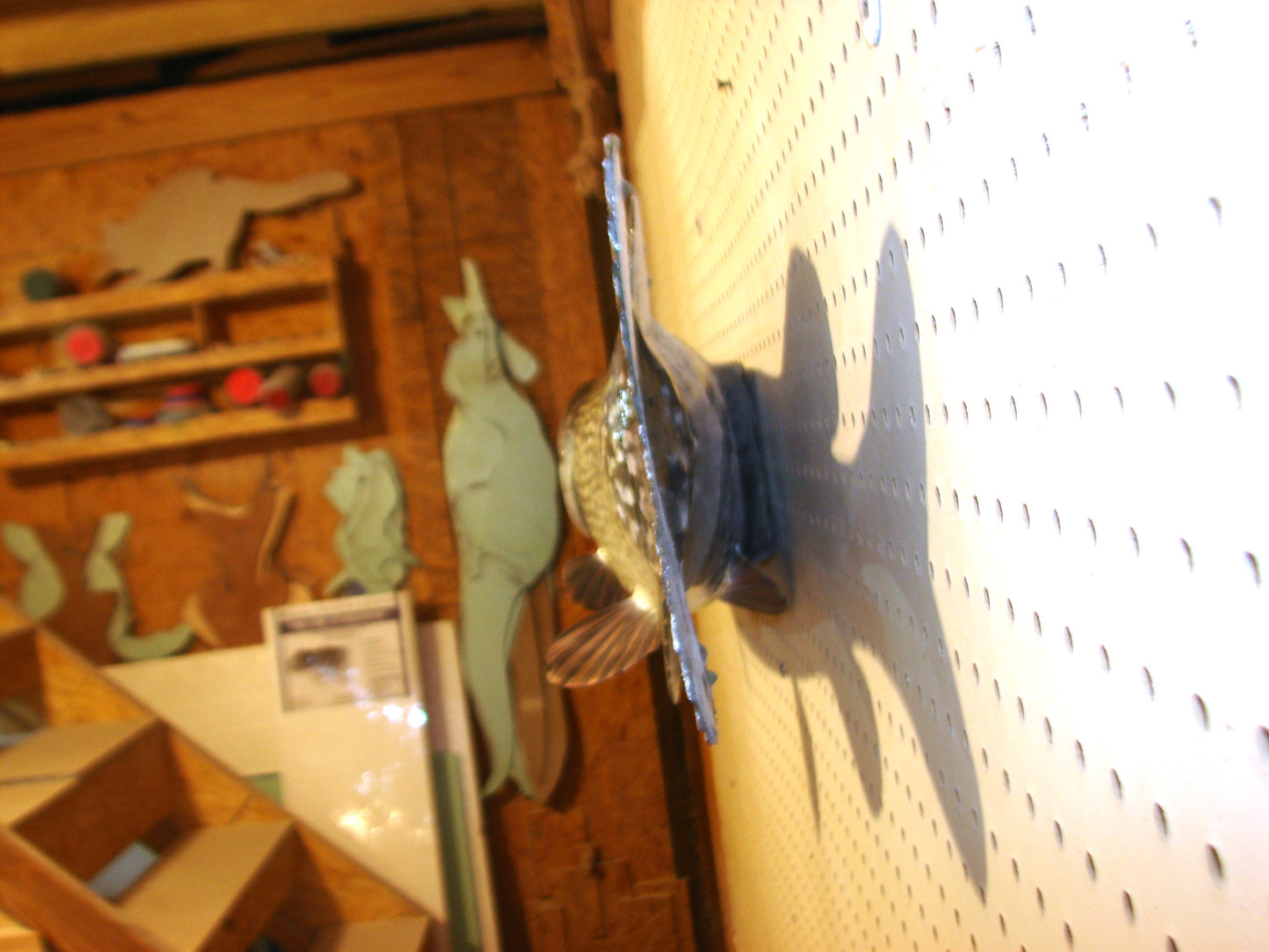 44" Northern Pike FREE SHIPPING