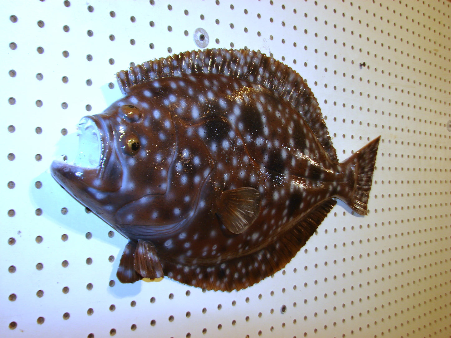 22" Flounder FREE SHIPPING