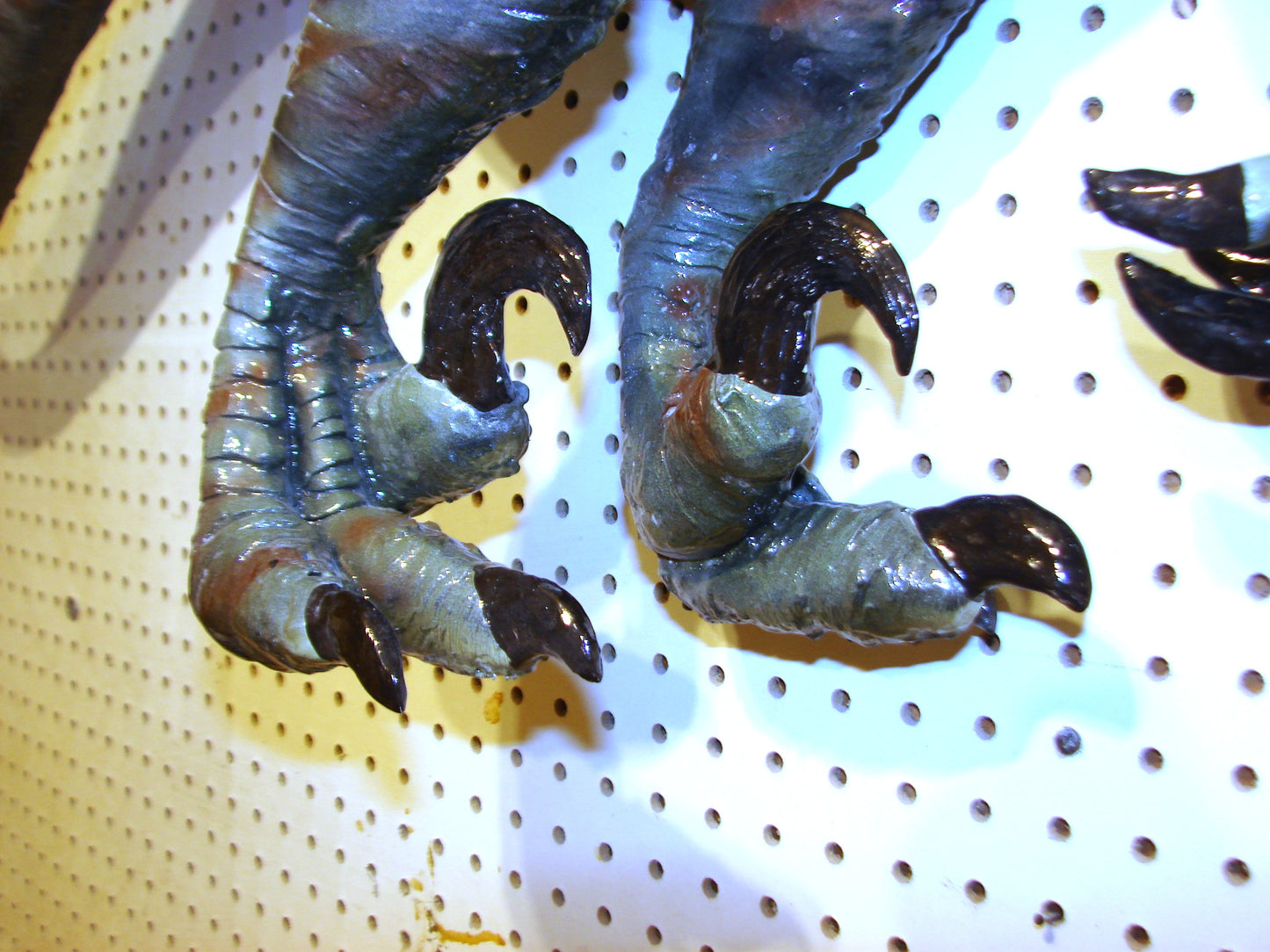 52" Long Raptor Dinosaur Hand Made Sculpture FREE SHIPPING