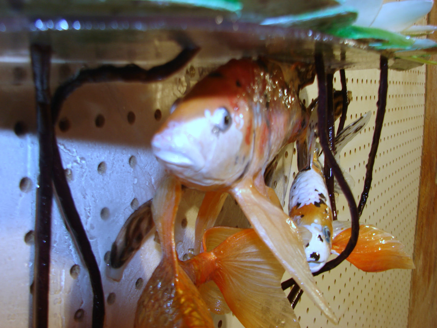 Koi Goldfish Pond Water Lily Wall Mount Art Home Decor FREE SHIPPING
