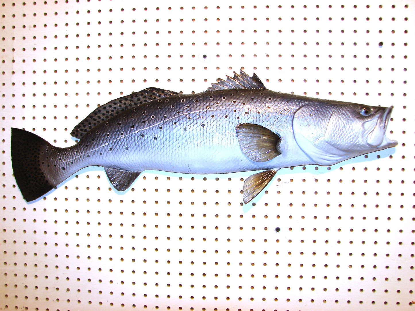 32" Speckled Sea Trout 1/2 mount FREE SHIPPING