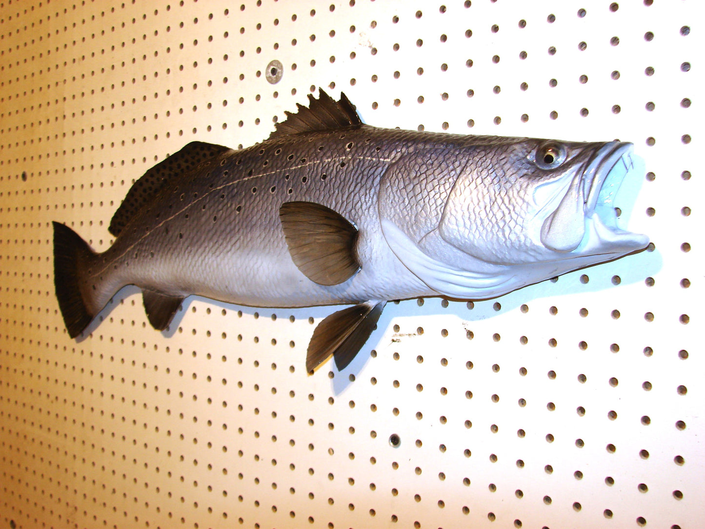 32" Speckled Sea Trout 1/2 mount FREE SHIPPING