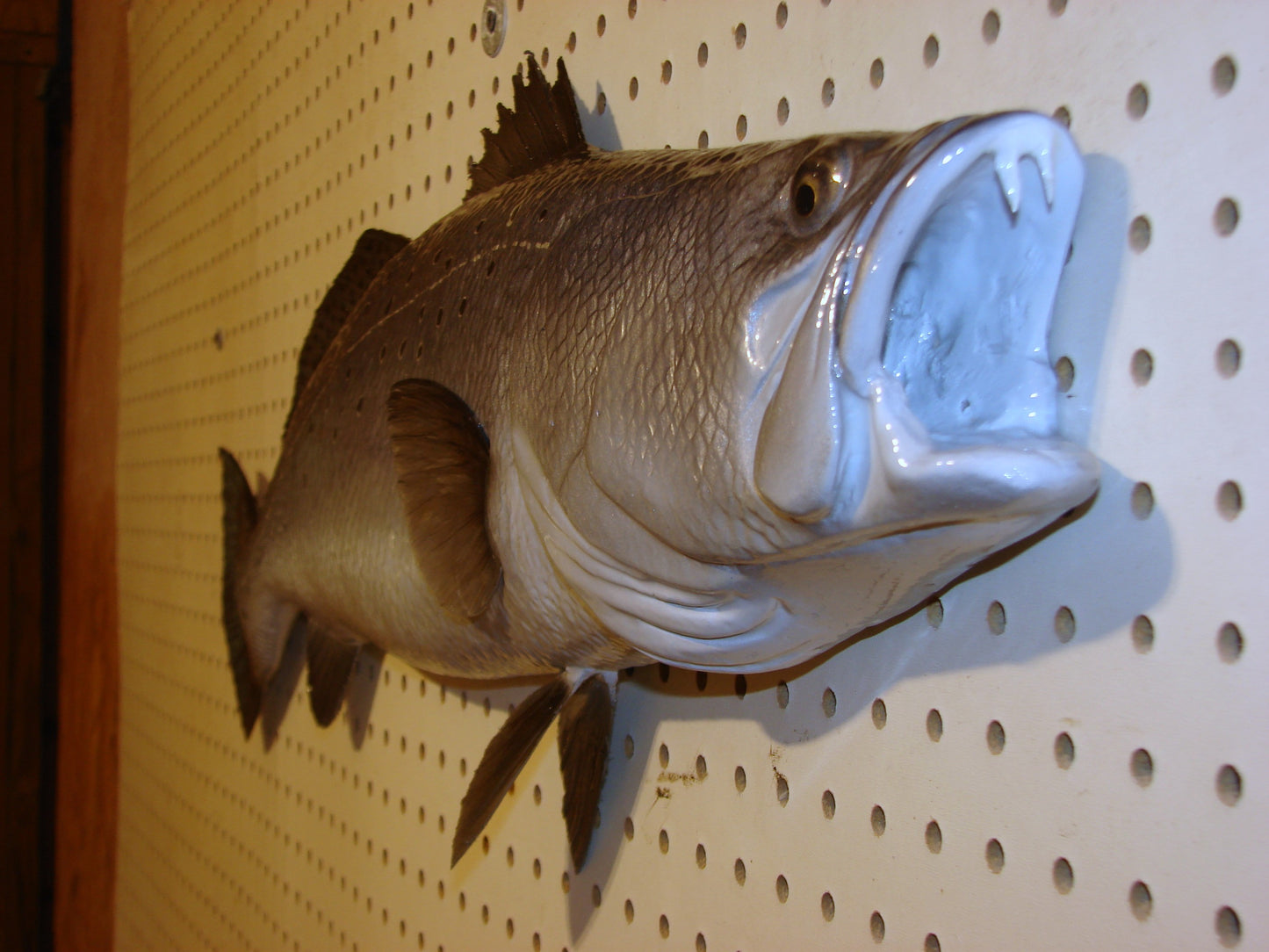 32" Speckled Sea Trout 1/2 mount FREE SHIPPING