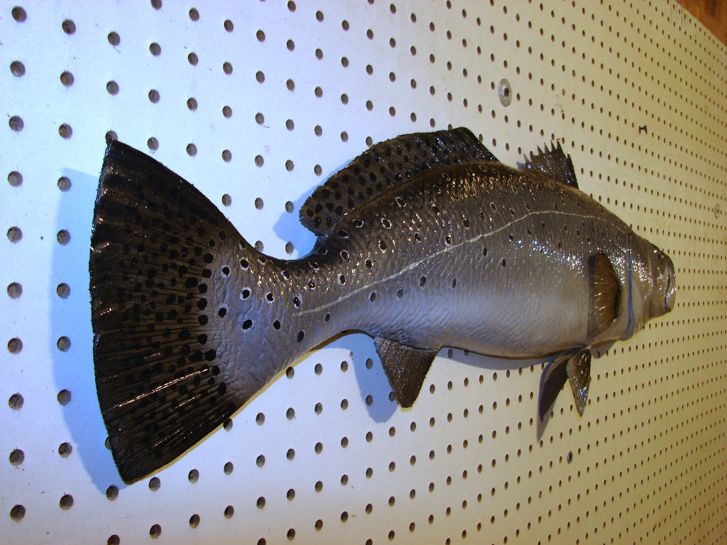 32" Speckled Sea Trout 1/2 mount FREE SHIPPING