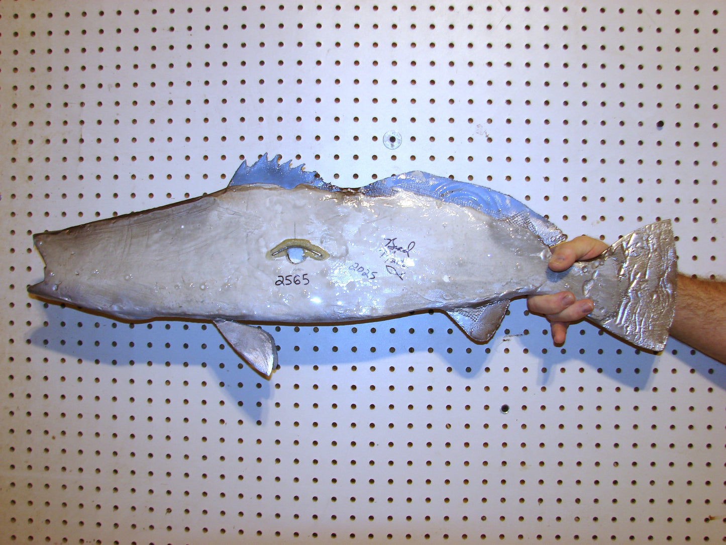 32" Speckled Sea Trout 1/2 mount FREE SHIPPING