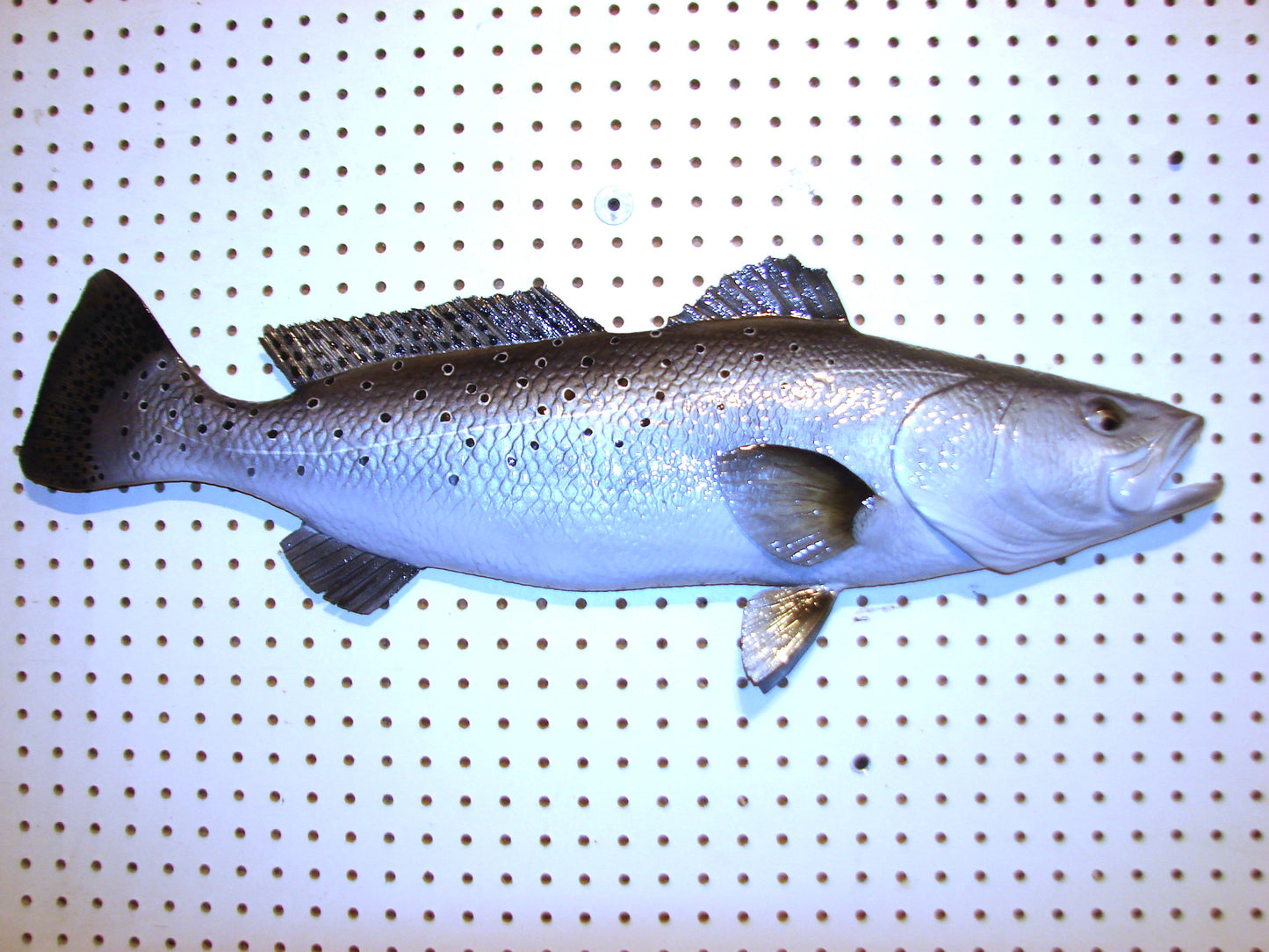 30" Speckled Sea Trout 1/2 mount FREE SHIPPING