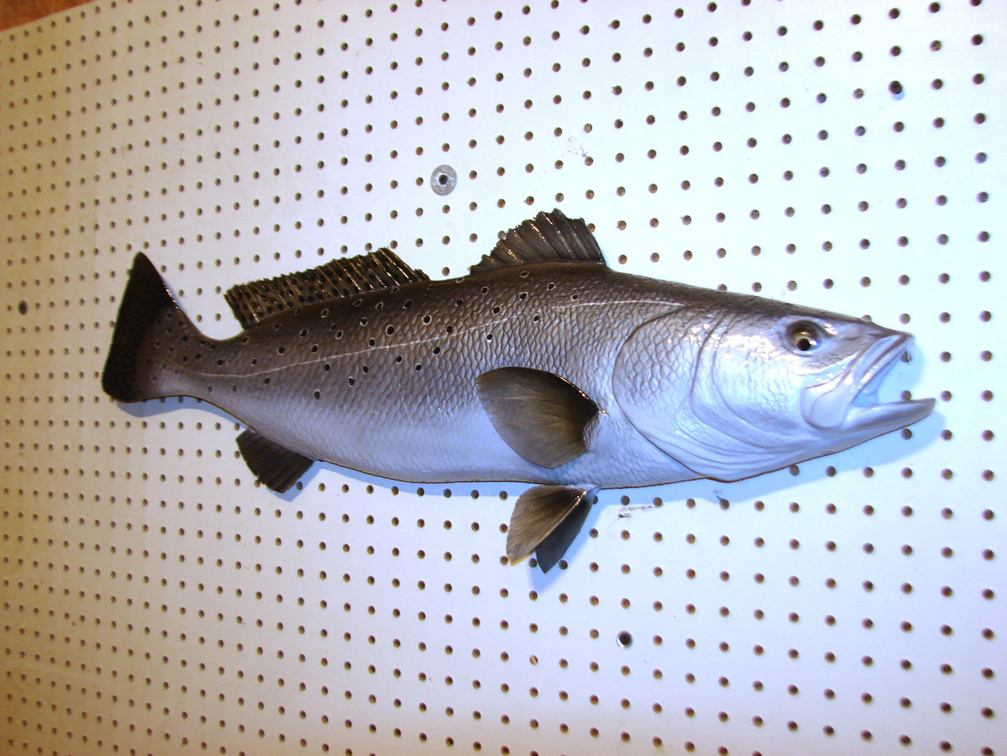 30" Speckled Sea Trout 1/2 mount FREE SHIPPING