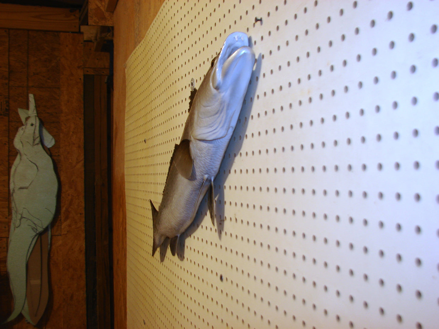 30" Speckled Sea Trout 1/2 mount FREE SHIPPING