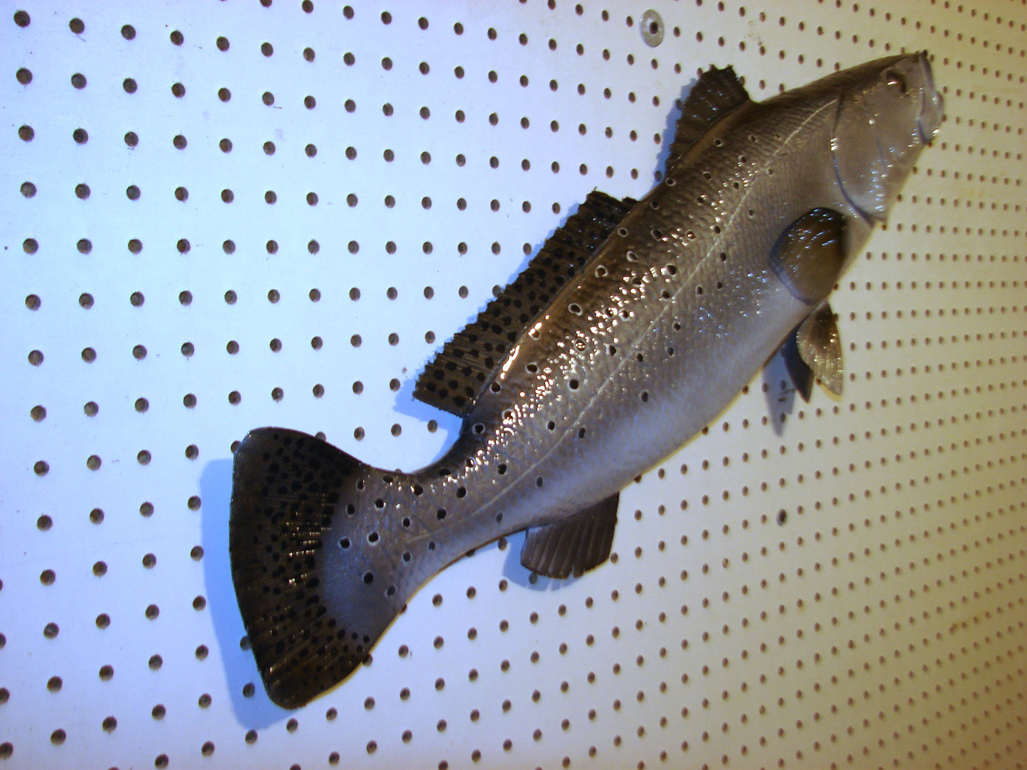 30" Speckled Sea Trout 1/2 mount FREE SHIPPING