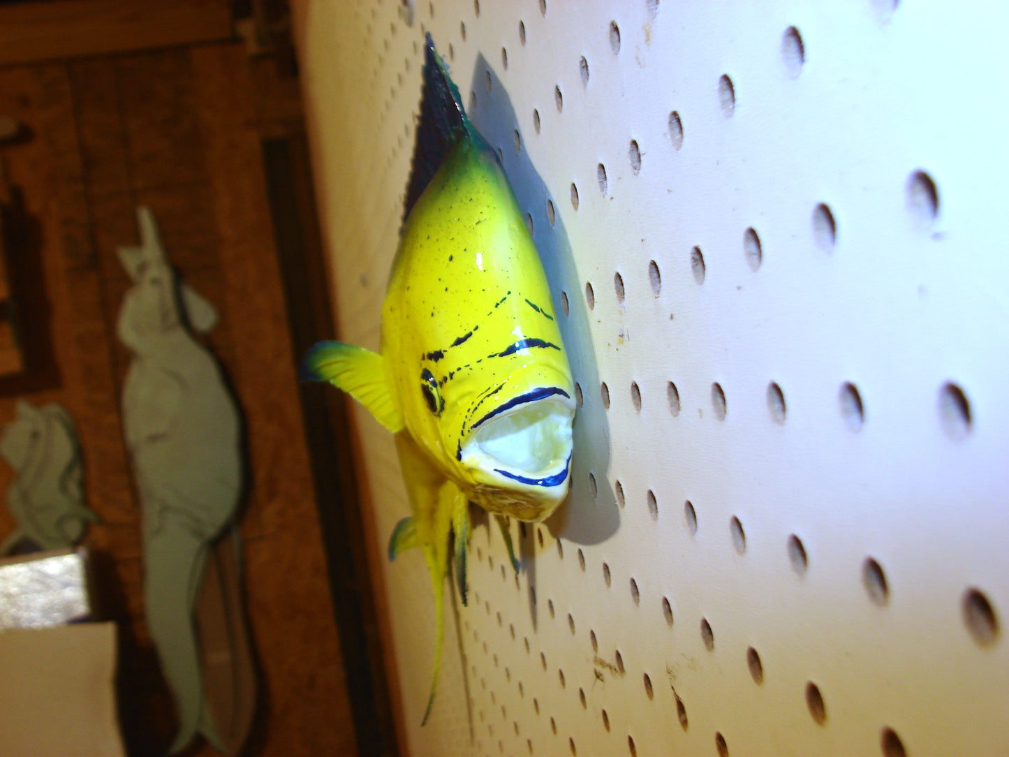 17-18" Mahi Dorado Dolphin Fish mount FREE SHIPPING