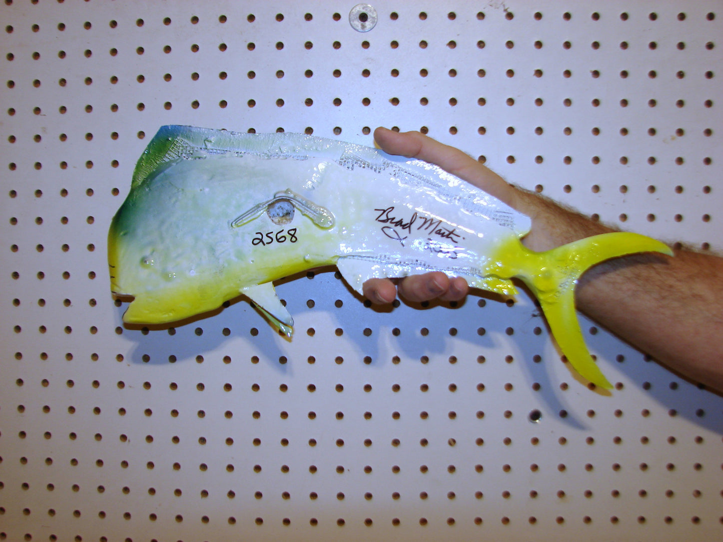 17-18" Mahi Dorado Dolphin Fish mount FREE SHIPPING