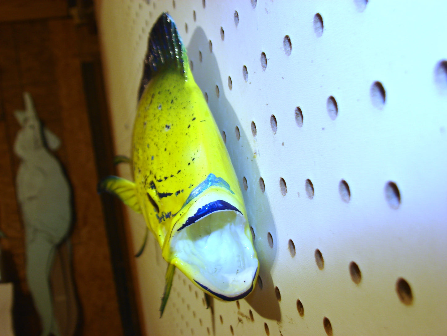 22-23" Mahi Dorado Dolphin Fish mount FREE SHIPPING