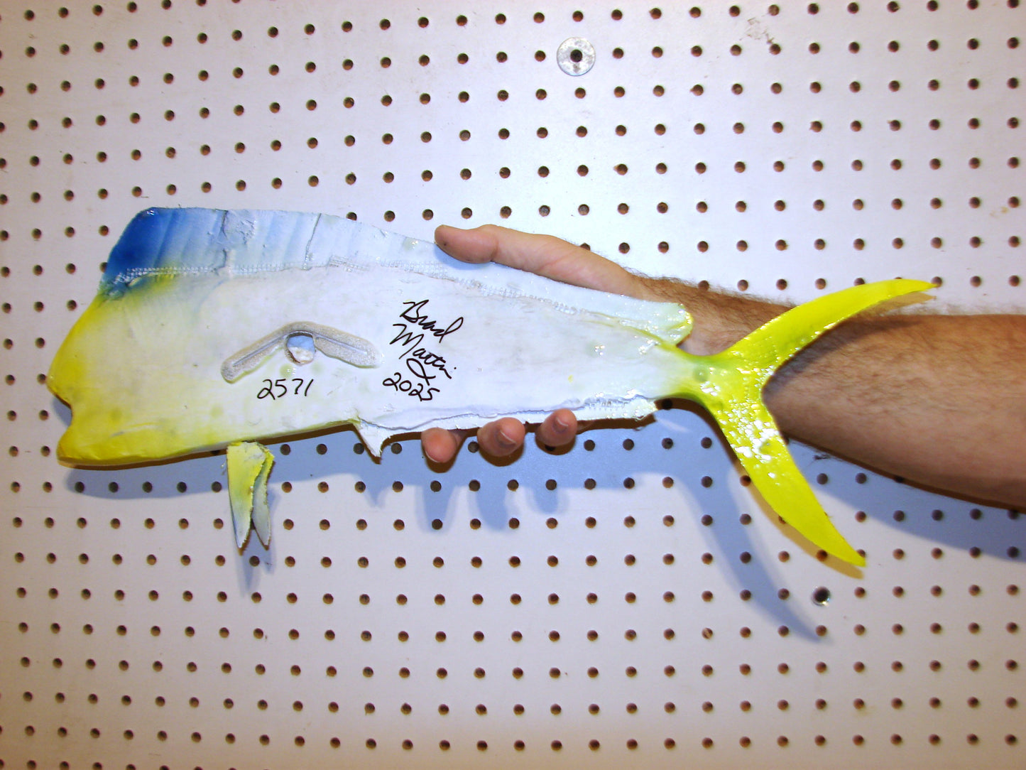22-23" Mahi Dorado Dolphin Fish mount FREE SHIPPING
