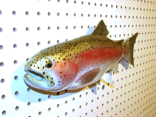 17" Rainbow Trout FREE SHIPPING