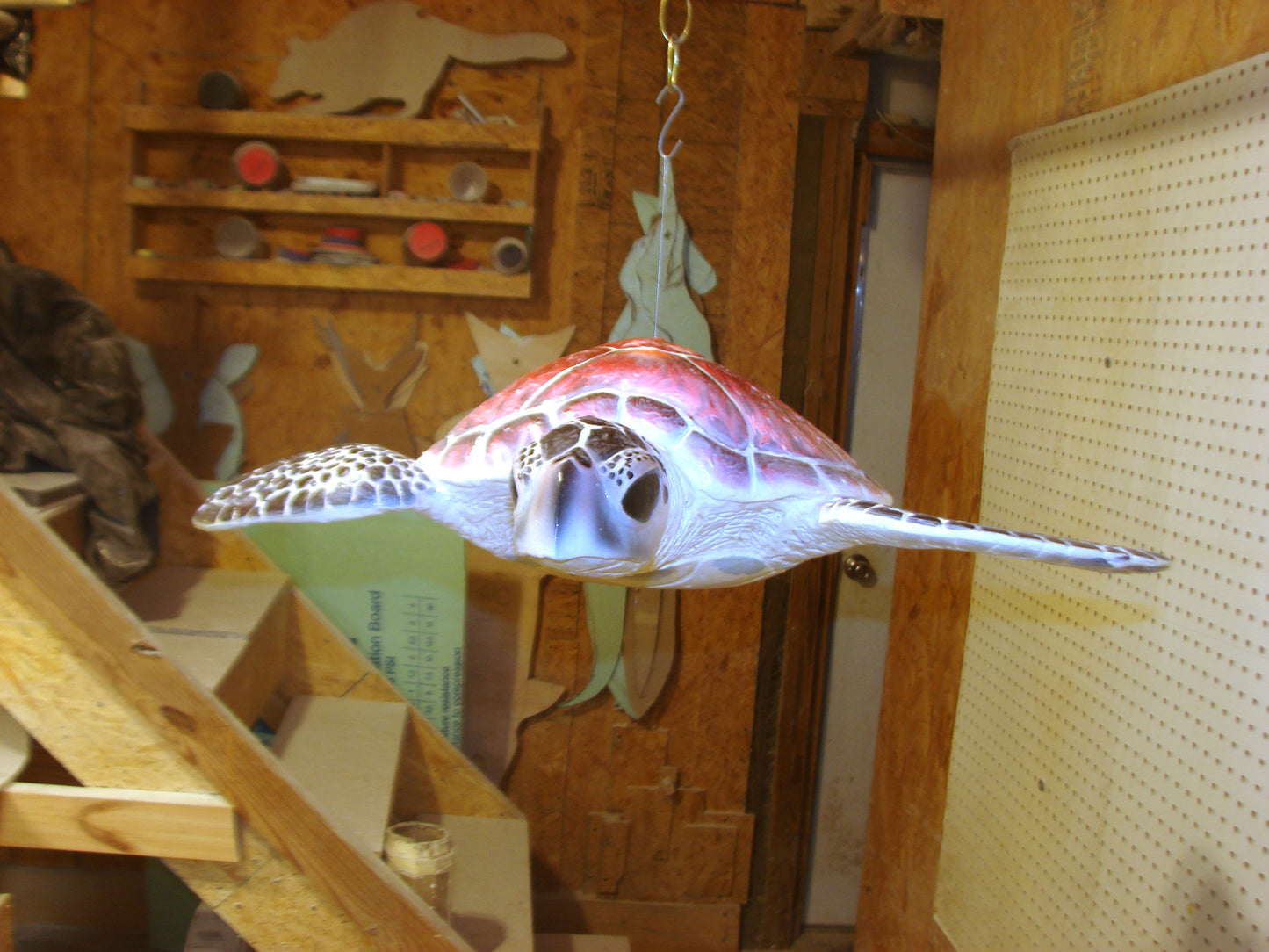 Hawksbill Sea Turtle Full Mount FREE SHIPPING
