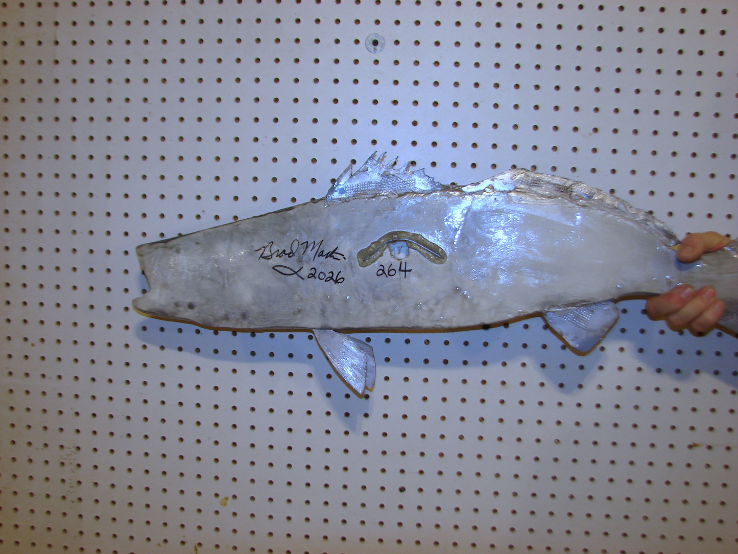 32" Speckled Sea Trout 1/2 mount FREE SHIPPING