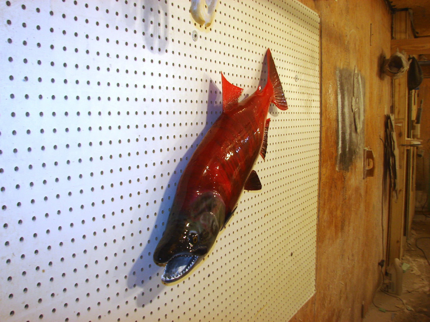 33" Spawning Sockeye Salmon full mount FREE SHIPPING