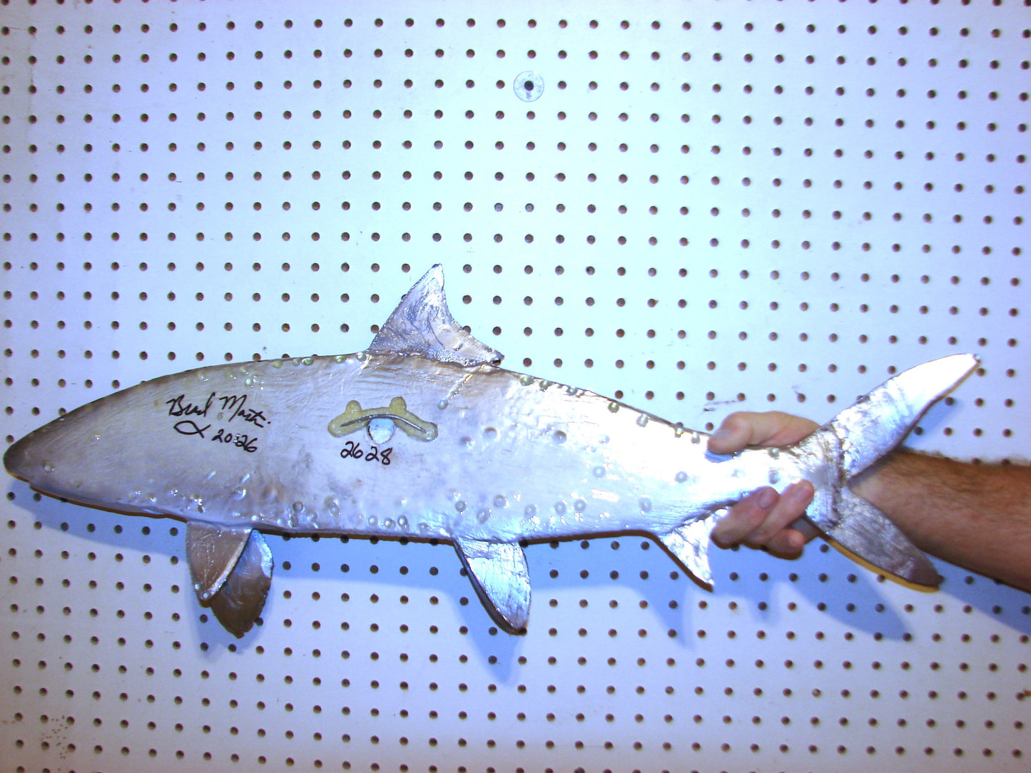 31" Bonefish Free shipping
