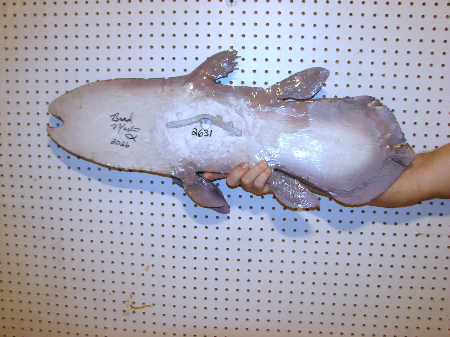 Coelacanth Fish 1/2 Mount FREE SHIPPING